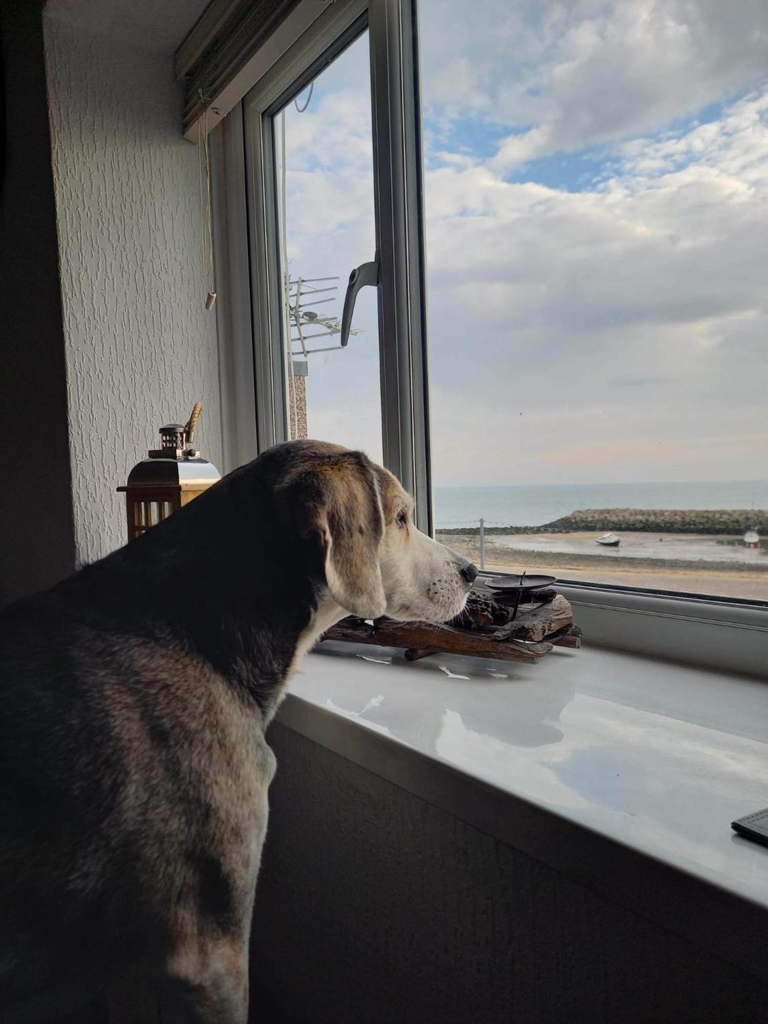 Rhôs-on-Sea 3 Harbour Views 아파트 외부 사진